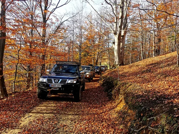 טיול גיפים ברומניה נהיגה עצמית - 8 ימים - מגוון תאריכים