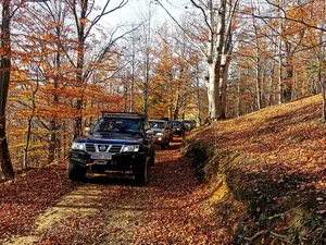 טיול גיפים ברומניה נהיגה עצמית - 8 ימים - מגוון תאריכים